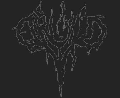 logo Druid (IRL)